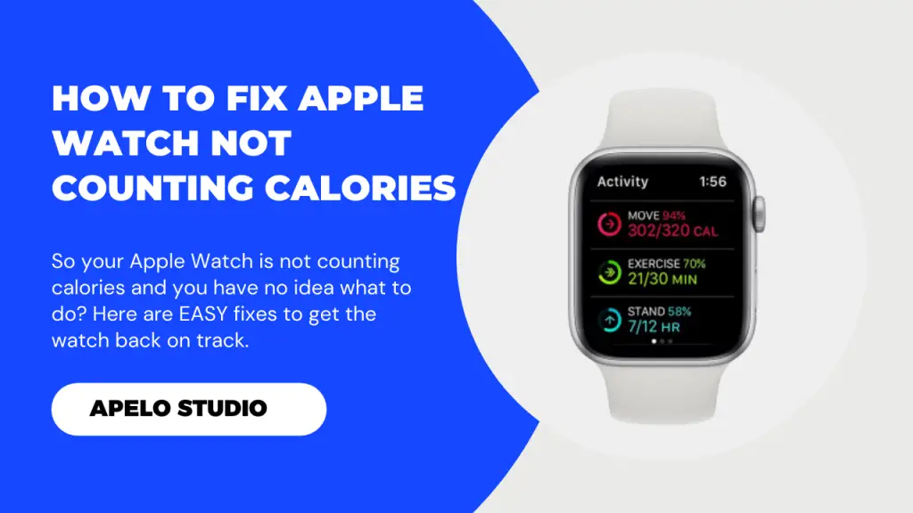 apple-watch-not-counting-calories-here-s-how-to-fix-it